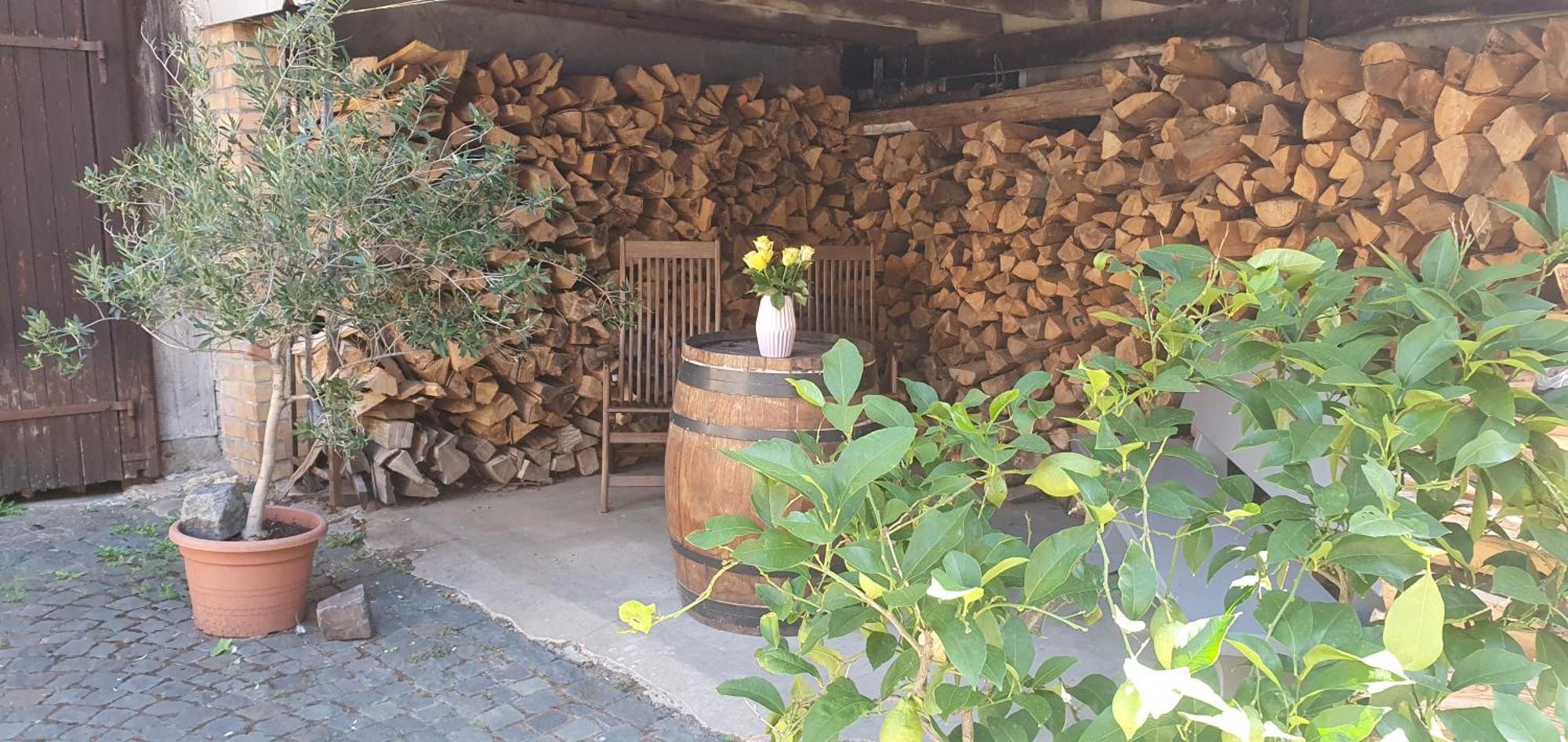 Gaestehaus Ringhof Florsheim-Dalsheim Bagian luar foto